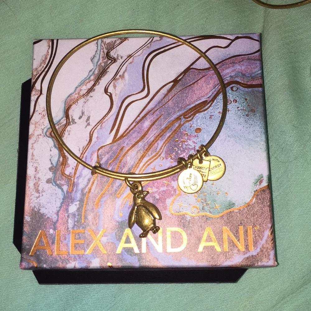 Alex and Ani charm bracelet
